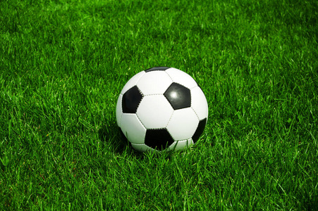 社交分享讨论互动